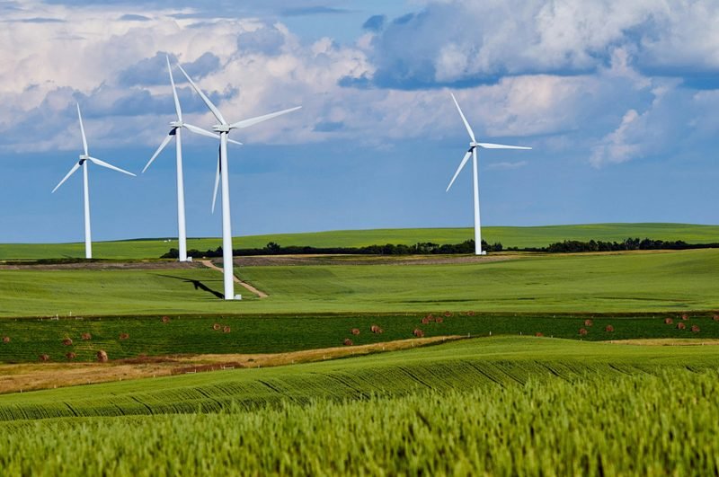 Renewable Energy Plants